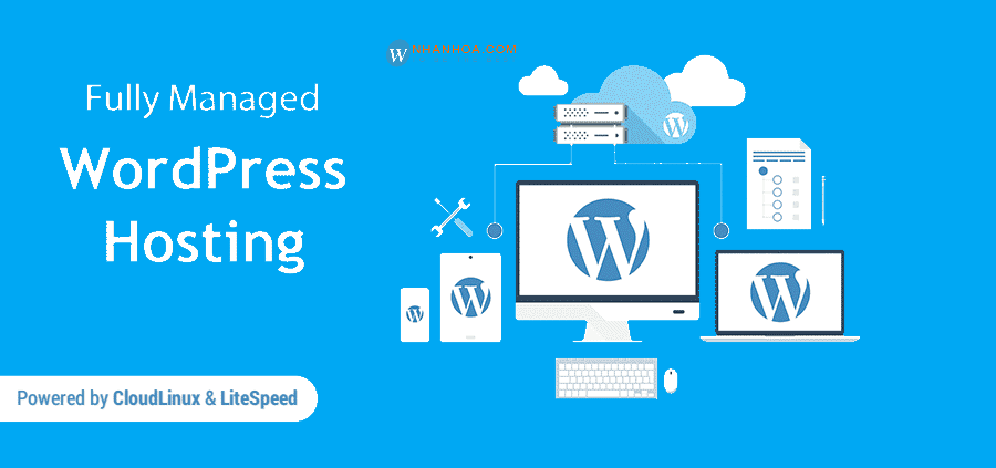 hosting wordpress là gì